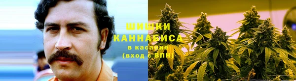 PSILOCYBIN Зерноград