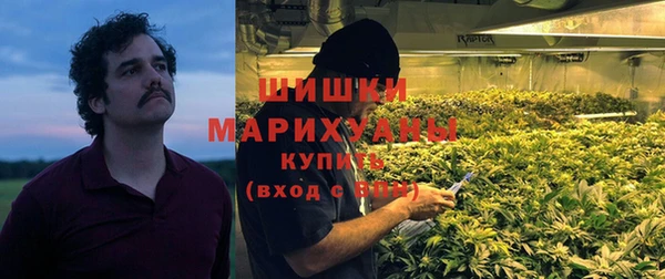 PSILOCYBIN Зерноград