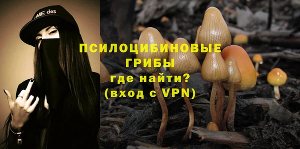 хмурый Зеленодольск